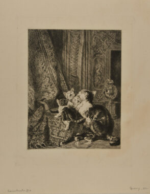 Mother Cat and Kittens