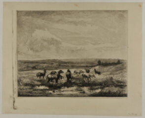Horses at a Pond