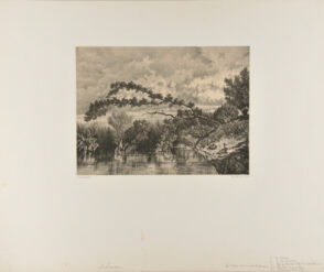 Une Mare à Rochecorbou