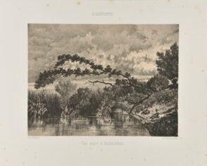 Une Mare à Rochecorbou