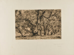 Châtaigneraie à Royat