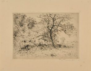 Deux Arbres: Effet de Printemps