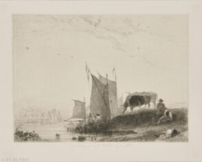 Cows grazing by water with ships