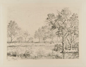 Les Bords d’un etang en Bresse