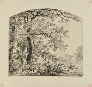 Clearing with Four Trees