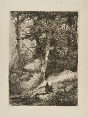 L’Intérier d’un Bois