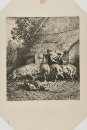 Une Femme donnant à manger à des porcs