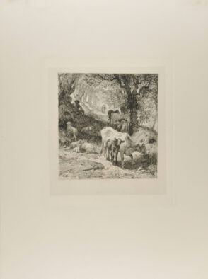 Man Sitting in a Wood Guarding Cows and Sheep