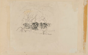 On a Trek Through the Woods