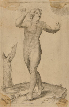 Man Frightened at Seeing the Sun and the Moon in the Heavens at the Same Time