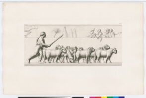 Plate V from the series “The Triumph of Alexander”