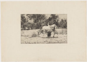 Uno Bergere au printemps