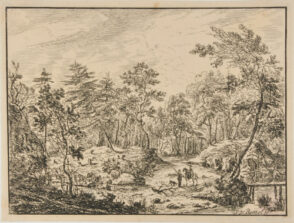 Woods with Pedestrian and Rider