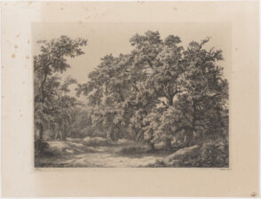 Les Chênes (The Oaks)