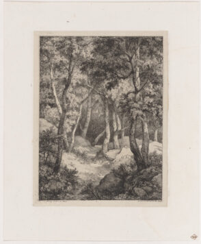 Le Chemin dans les borileaux (The road through the birches)