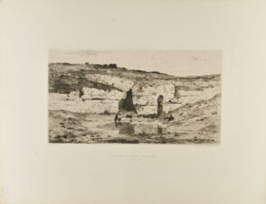 Un Terrier de Renard A Chateauneuf