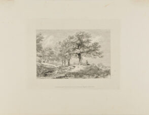 Man and Dog Sitting Under a Tree