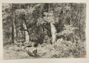 On the Edge of the Woods