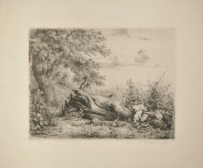 Landscape with Fallen Trees