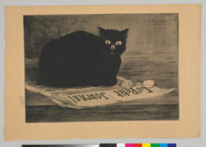 Chat noir sur un journal