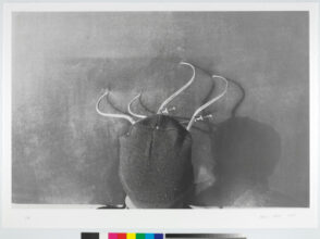 Pan’s Opticon Studies, No. 5