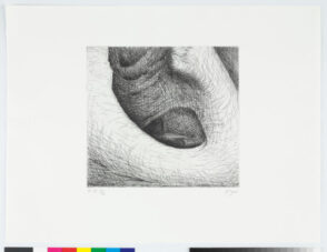 Plate IV from the book “Elephant Skull”