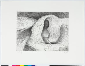 Plate VIII from the book “Elephant Skull”