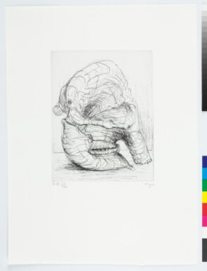 From the “Elephant Skull Album”