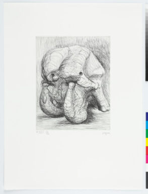 Elephant Skull Album