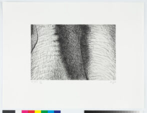 From the “Elephant Skull Album”