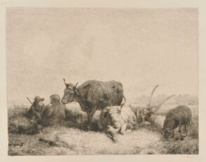 The Rest in the Field