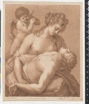 Venus and Adonis