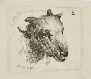 Head of a Ram