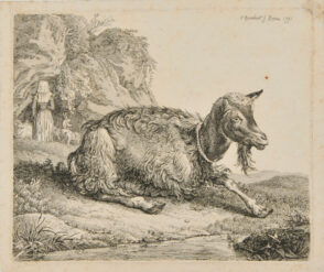 Goat, Turned to Right