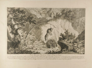 Wolf Caught in a Trap