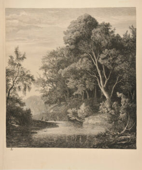 Forest Stream with Storks