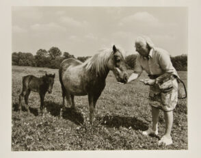 Harriet S. Rogers, Olney Farm, Joppa.