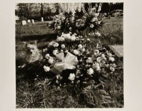 Angel Hill Cemetery, Havre de Grace.