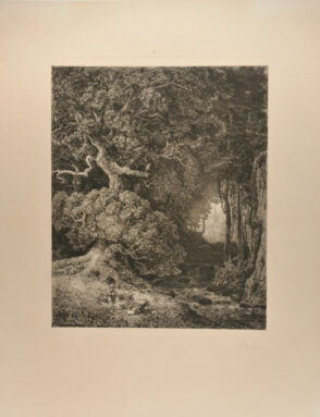 View of a Distant Church Steeple through a Forest Clearing