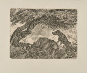 Dog Watching a Dead Boar in a Forest