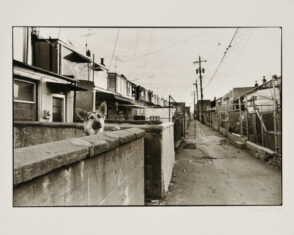 Locust Point Alley, South Baltimore.