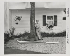 Saul Bellow, Novelist