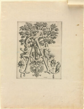 From the series “Nova Alphati Effictio”