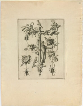 From the series “Nova Alphati Effictio”