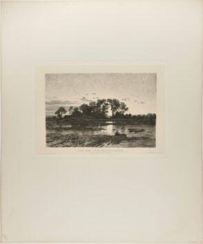 From the Danube Regulation (Von der Donauregulirung)