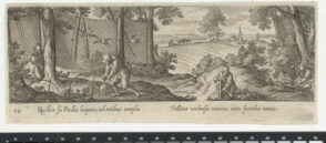 The Wild Bird Hunt with Traps and Large Net