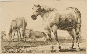 The Horses and Oxen