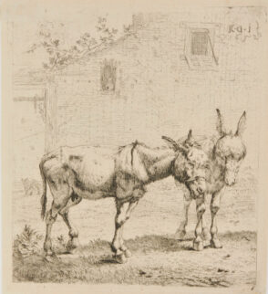 The Two Donkeys