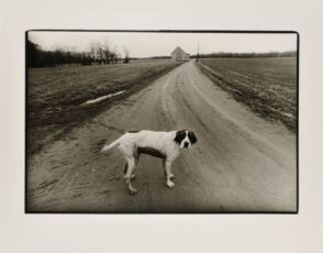 Farmer Abel’s Dog, St. Mary’s County.