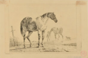 Two Horses, One in Background with Man and Dog